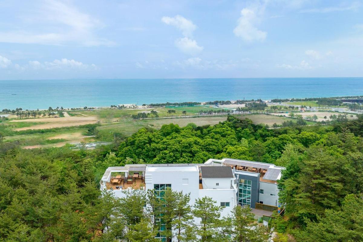 Zio Pinetree Hotel Yangyang Exterior photo